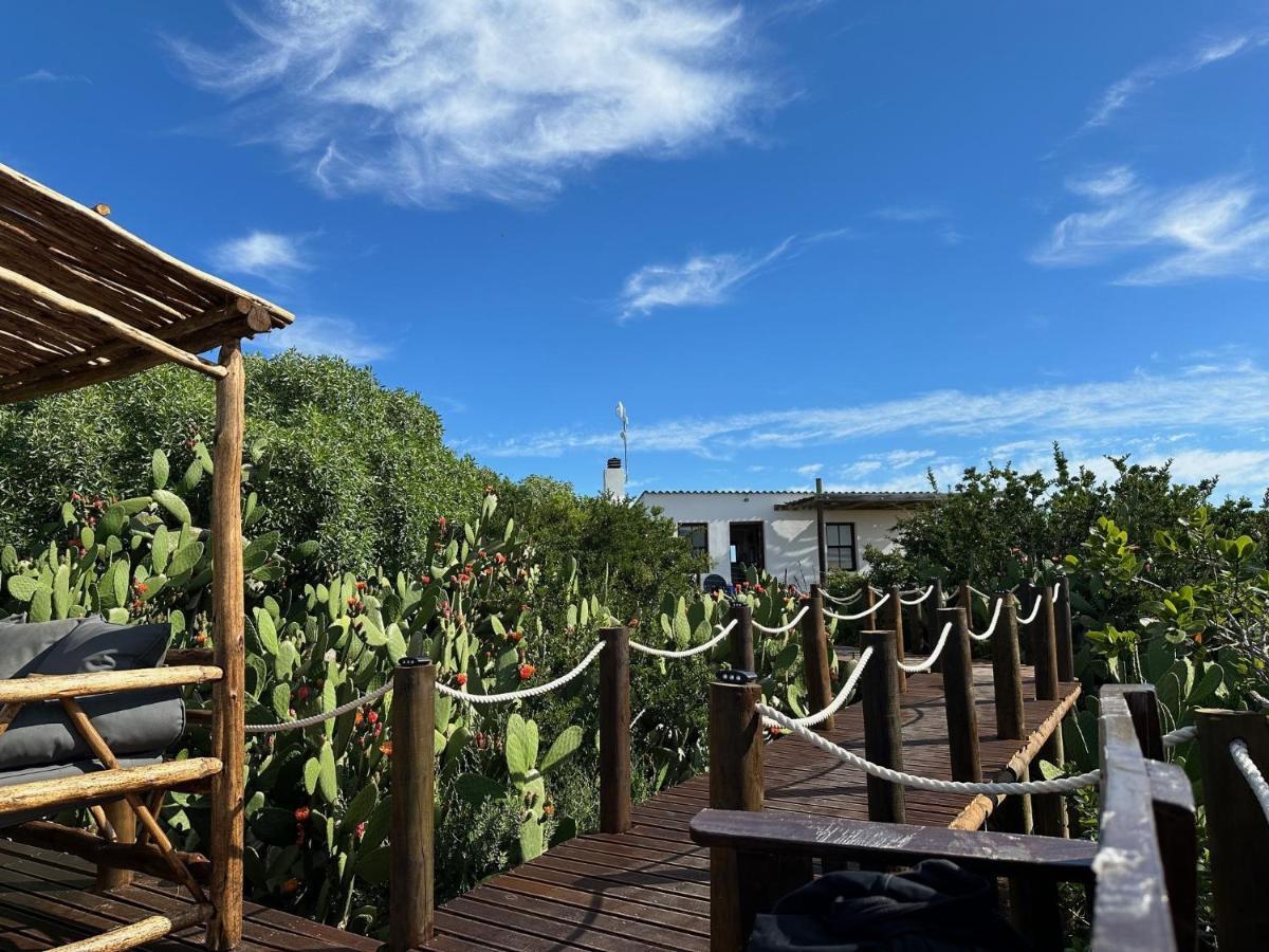 Ostrich Cottage At Les Wings Private Game Farm Groot-Jongensfontein Bagian luar foto